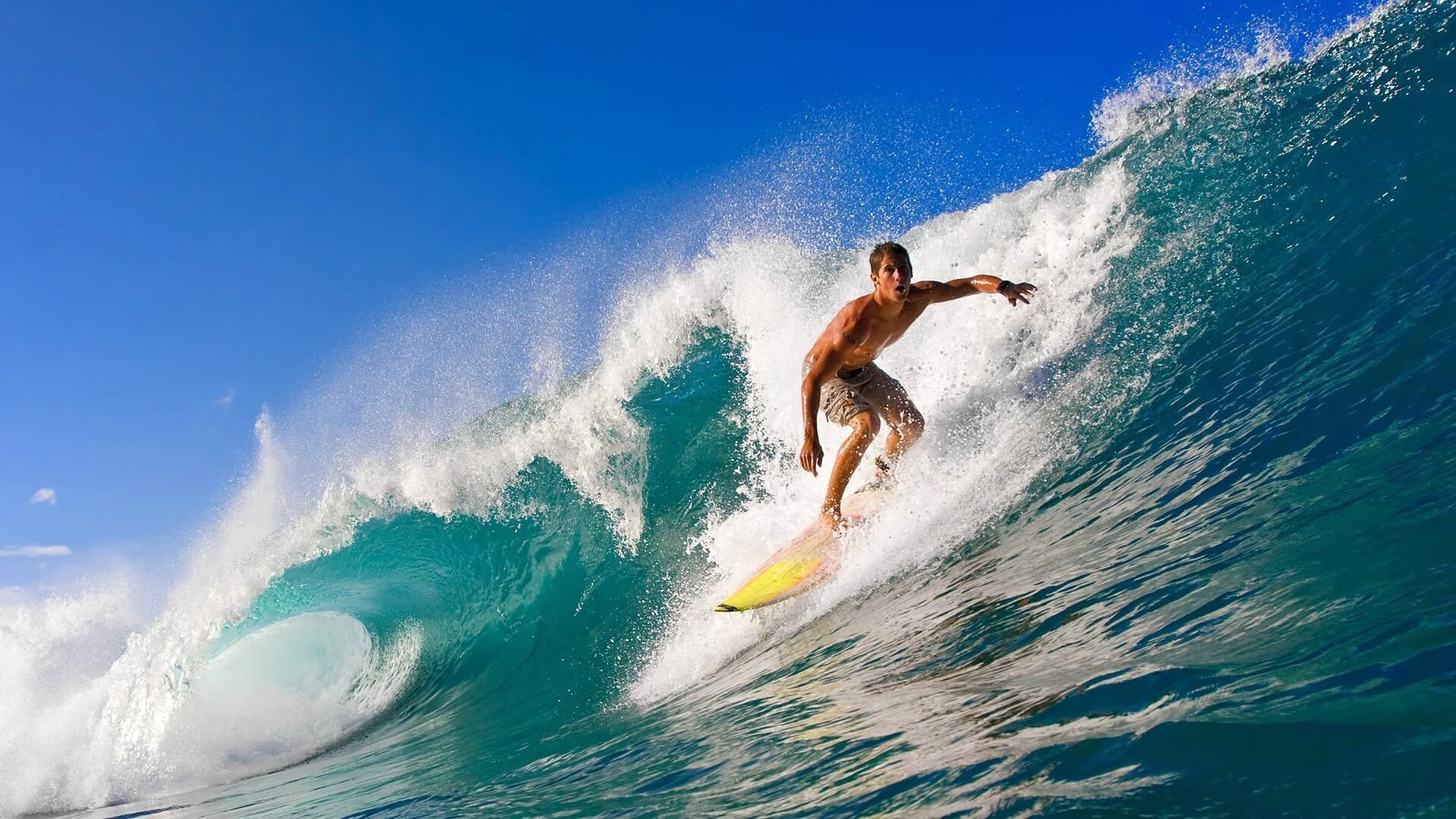 “青训营吸引全国青少年，激发更高水平训练”，青训营百度百科